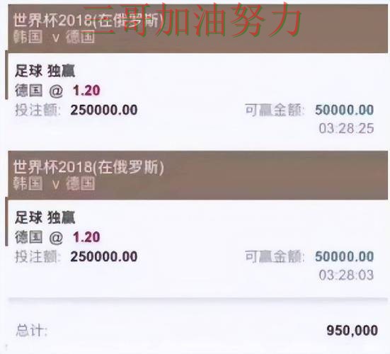 盘点世界杯买球平台：从赛事直播到直播观看全流程解析 - 2026世界杯